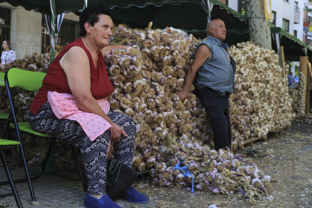 feria ajo zamora